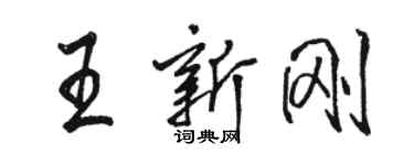 駱恆光王新剛行書個性簽名怎么寫