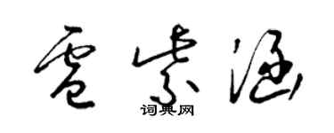 梁錦英盧紫涵草書個性簽名怎么寫