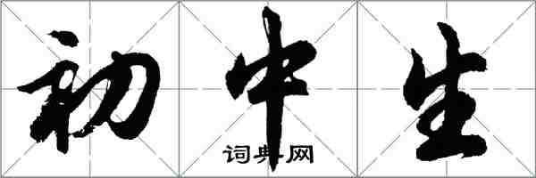 胡問遂國中生行書怎么寫