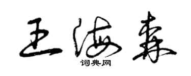 曾慶福王海森草書個性簽名怎么寫