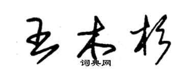朱錫榮王木杉草書個性簽名怎么寫