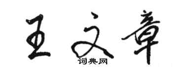 駱恆光王文章行書個性簽名怎么寫