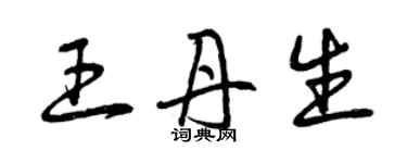 曾慶福王丹生草書個性簽名怎么寫
