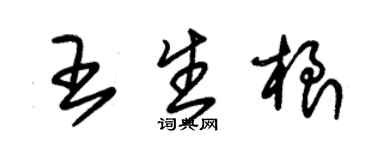 朱錫榮王生根草書個性簽名怎么寫