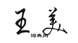 駱恆光王美行書個性簽名怎么寫