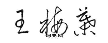 駱恆光王梅葉草書個性簽名怎么寫