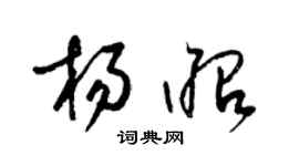 梁錦英楊昭草書個性簽名怎么寫