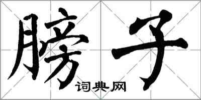 翁闓運膀子楷書怎么寫