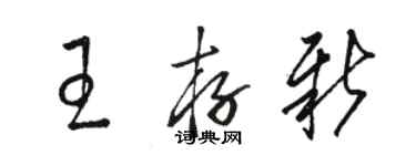 駱恆光王存新草書個性簽名怎么寫