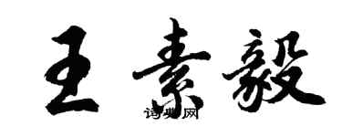 胡問遂王素毅行書個性簽名怎么寫