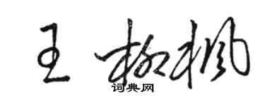 駱恆光王柳楓草書個性簽名怎么寫