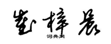 朱錫榮崔梓晨草書個性簽名怎么寫