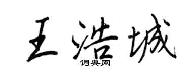 王正良王浩城行書個性簽名怎么寫