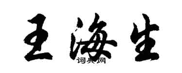 胡問遂王海生行書個性簽名怎么寫