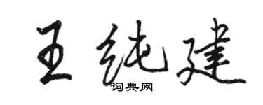 駱恆光王純建行書個性簽名怎么寫