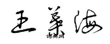 曾慶福王葉海草書個性簽名怎么寫