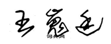 朱錫榮王嵬廷草書個性簽名怎么寫