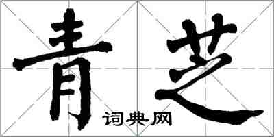 翁闓運青芝楷書怎么寫
