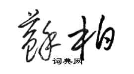 駱恆光蘇柏草書個性簽名怎么寫