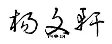 曾慶福楊文軒草書個性簽名怎么寫