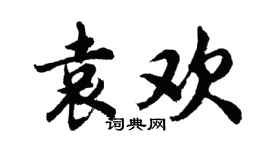 胡問遂袁歡行書個性簽名怎么寫