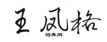 駱恆光王鳳格行書個性簽名怎么寫