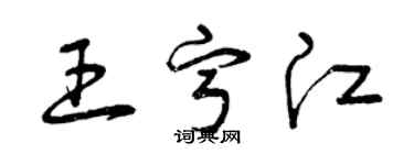 曾慶福王寧江草書個性簽名怎么寫