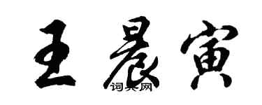 胡問遂王晨寅行書個性簽名怎么寫