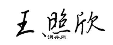 王正良王照欣行書個性簽名怎么寫