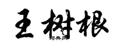 胡問遂王樹根行書個性簽名怎么寫