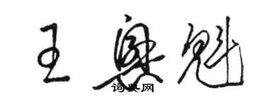 駱恆光王興魁草書個性簽名怎么寫