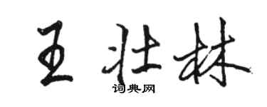駱恆光王壯林行書個性簽名怎么寫