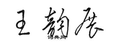 駱恆光王韻展草書個性簽名怎么寫