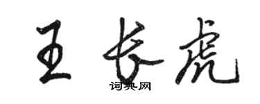 駱恆光王長虎行書個性簽名怎么寫