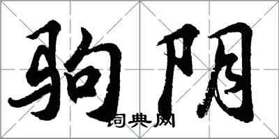 胡問遂駒陰行書怎么寫