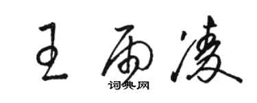 駱恆光王雨凌草書個性簽名怎么寫