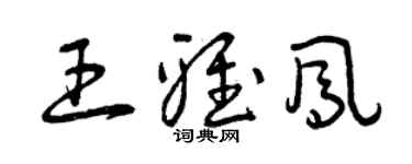 曾慶福王雅鳳草書個性簽名怎么寫