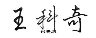 駱恆光王科奇行書個性簽名怎么寫