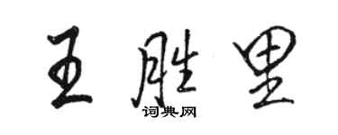駱恆光王勝里行書個性簽名怎么寫