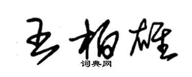 朱錫榮王柏雄草書個性簽名怎么寫