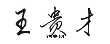 駱恆光王貴才行書個性簽名怎么寫