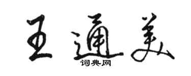 駱恆光王通美行書個性簽名怎么寫