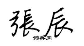 王正良張辰行書個性簽名怎么寫