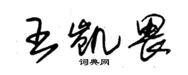 朱錫榮王凱畏草書個性簽名怎么寫