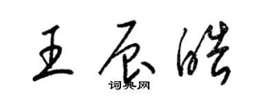 梁錦英王辰皓草書個性簽名怎么寫