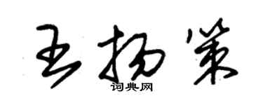 朱錫榮王揚策草書個性簽名怎么寫