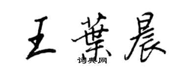 王正良王葉晨行書個性簽名怎么寫