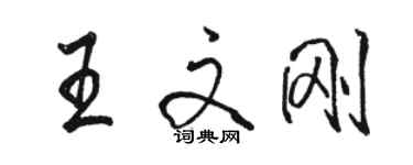 駱恆光王文剛行書個性簽名怎么寫