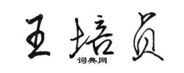 駱恆光王培貞行書個性簽名怎么寫