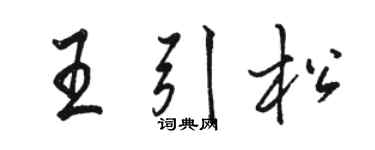 駱恆光王引松行書個性簽名怎么寫